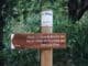 Wooden signpost in forest guiding to Le Cirque de Mourèze and Sentier des Courtinals.