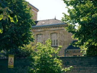 A charming stone building hidden among vibrant trees with a school sign nearby, captured on a sunny day.