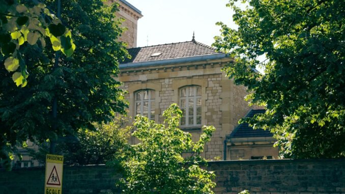 A charming stone building hidden among vibrant trees with a school sign nearby, captured on a sunny day.