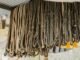 Close-up of various ropes hanging from the ceiling in an outdoor storage area.