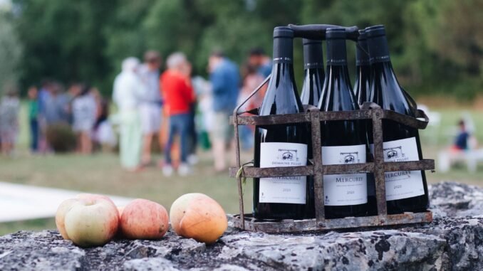 Bottles of Mercurey wine and apples on a rustic setting in Bourgogne, France.